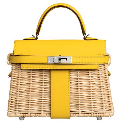 hermes kelly picnic bags.